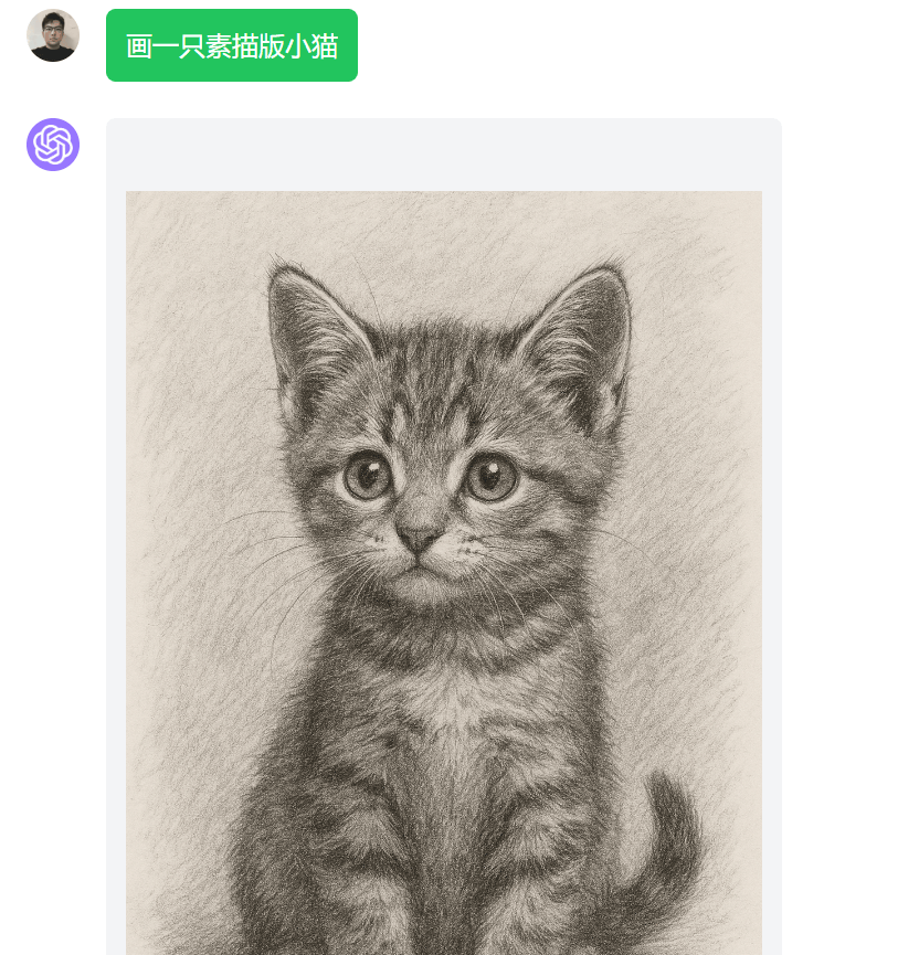 画一只素描版小猫
